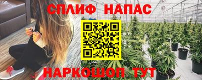 дурь Краснознаменск