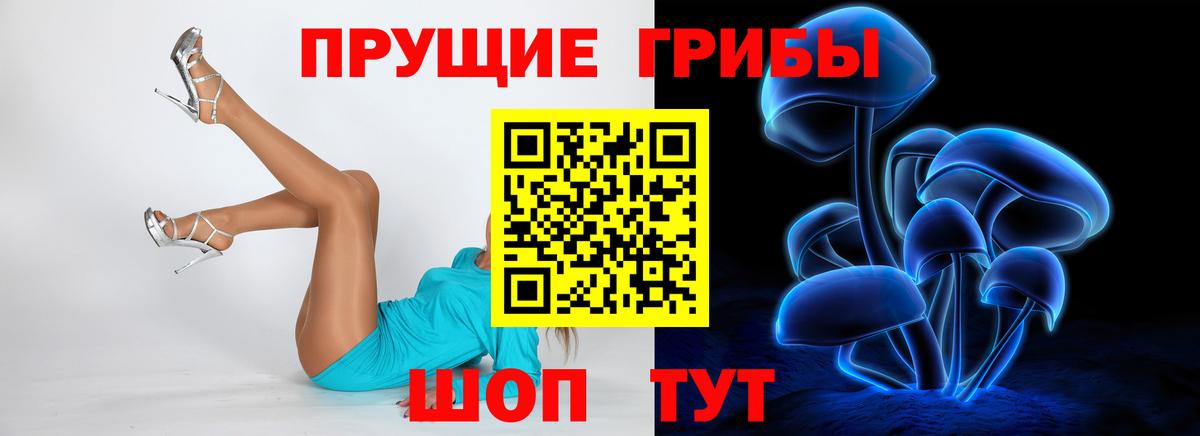 Галлюциногенные грибы Cubensis  Вход с VPN  где купить наркоту  Галлюциногенные грибы Magic Shrooms  Калининград 